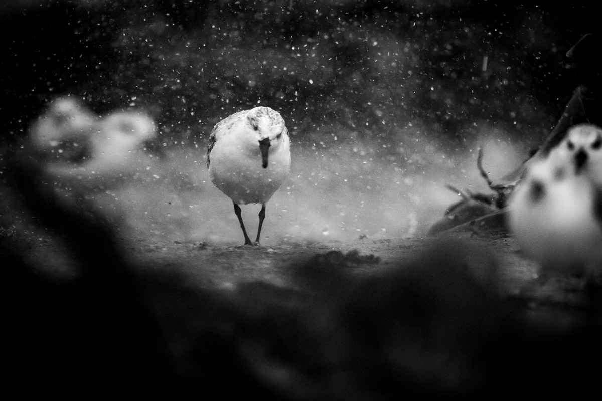 Rain and snow